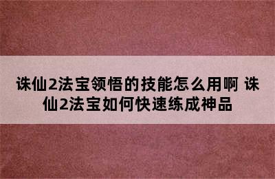 诛仙2法宝领悟的技能怎么用啊 诛仙2法宝如何快速练成神品